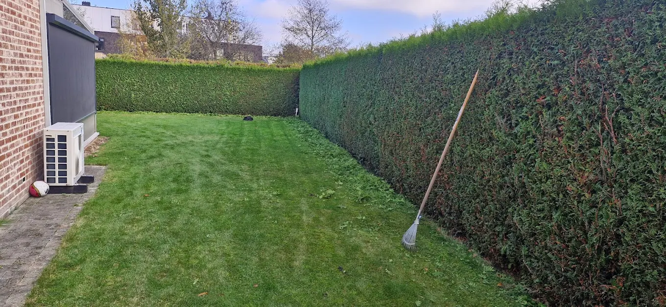 Gazon en haag onderhouden in najaar
